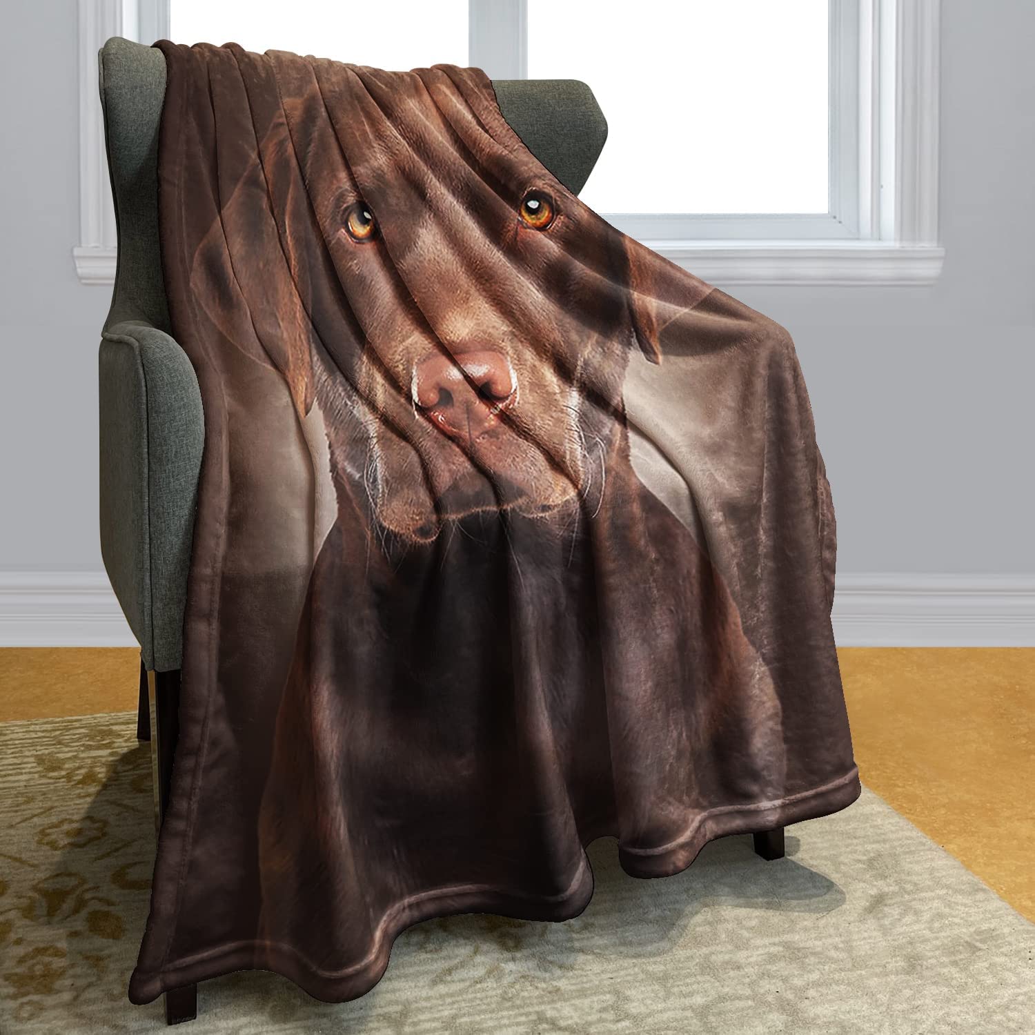 Amazon.com: HommomH Chocolate Lab Blanket, Brown Labrador Dog